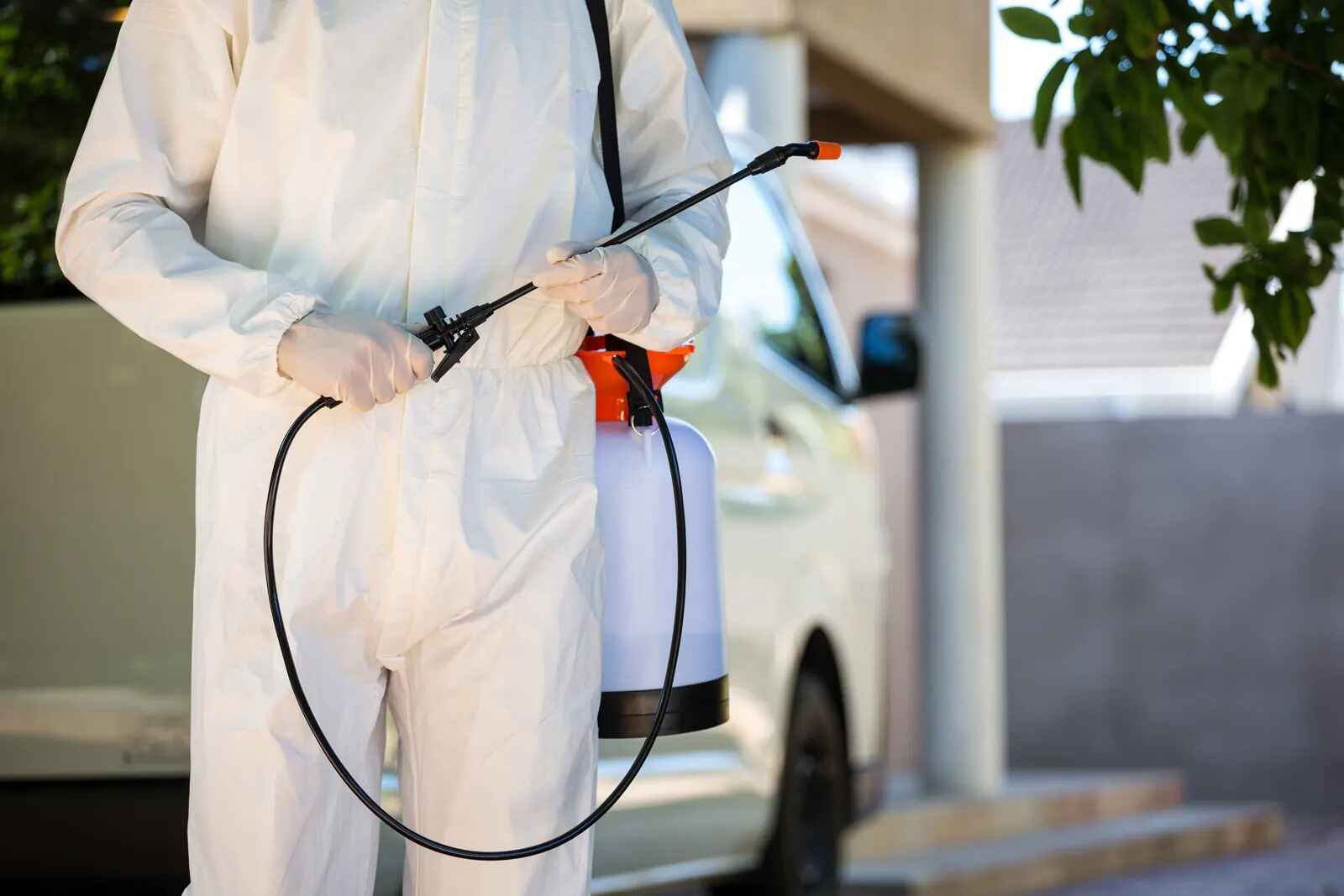 termite pest control